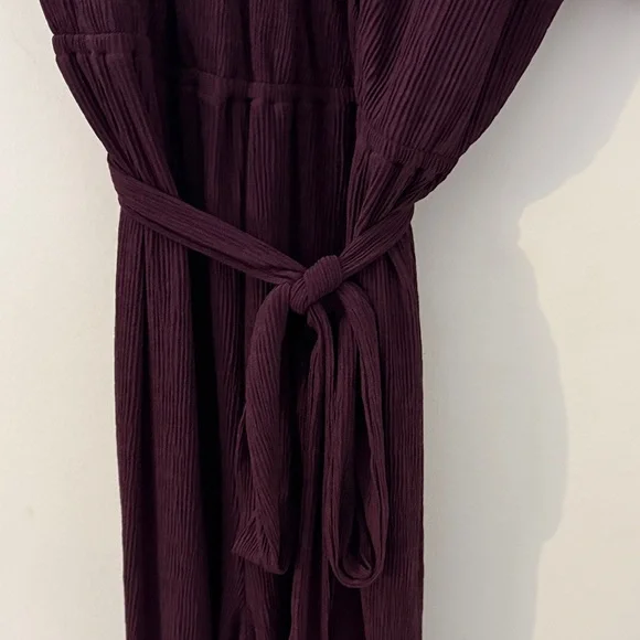 Elegant Dark Maroon Pant Romper - Picture 3 of 4